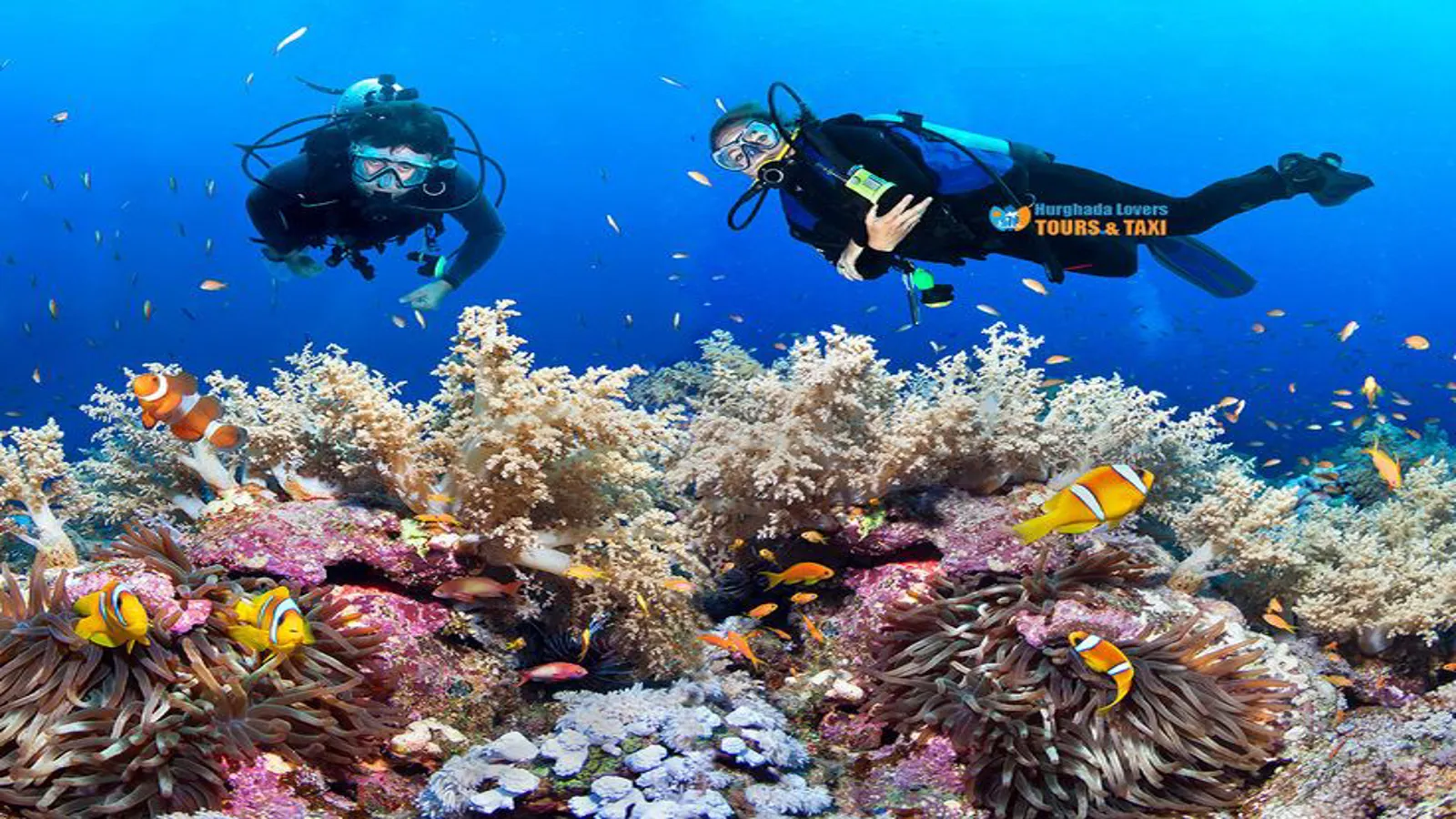 Einführung ins Tauchen