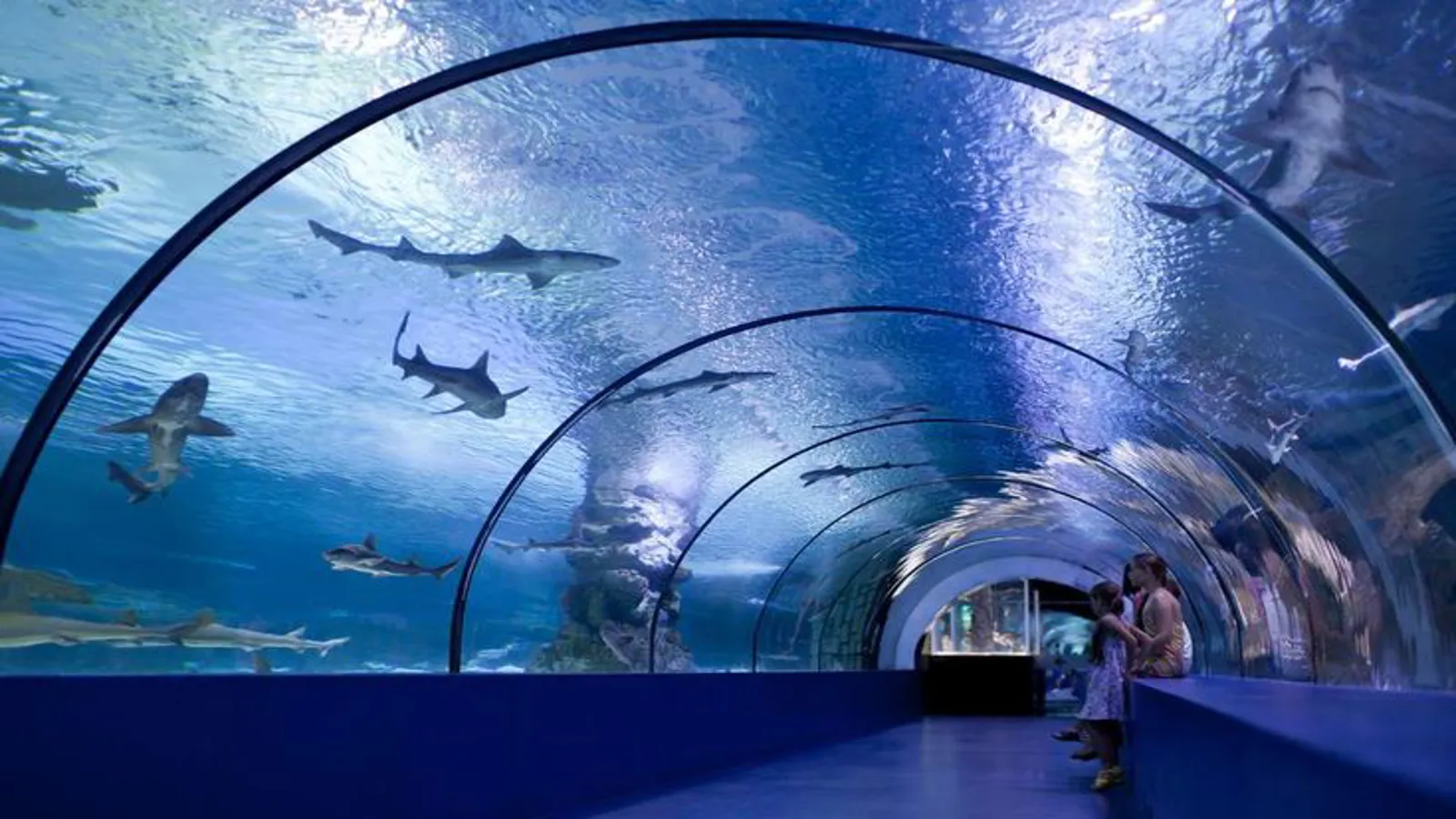 Grand Aquarium